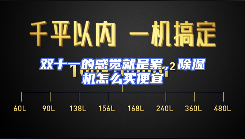 双十一的感觉就是累，除湿机怎么买便宜