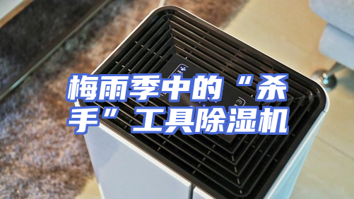 梅雨季中的“杀手”工具除湿机