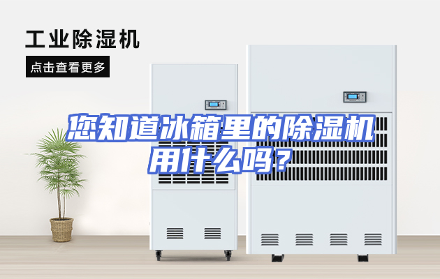 您知道冰箱里的除湿机用什么吗？
