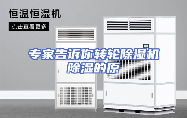 专家告诉你转轮除湿机除湿的原
