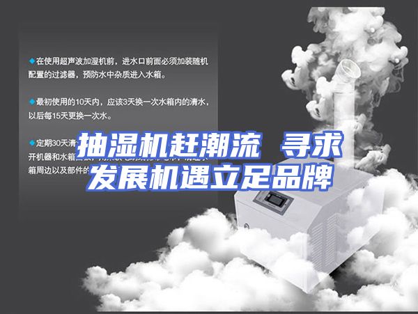 抽湿机赶潮流 寻求发展机遇立足品牌