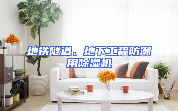 地铁隧道、地下工程防潮用除湿机