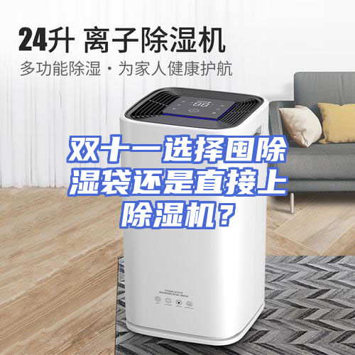 双十一选择囤除湿袋还是直接上除湿机？