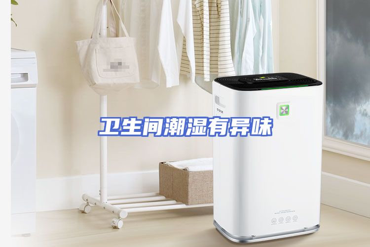 卫生间潮湿有异味