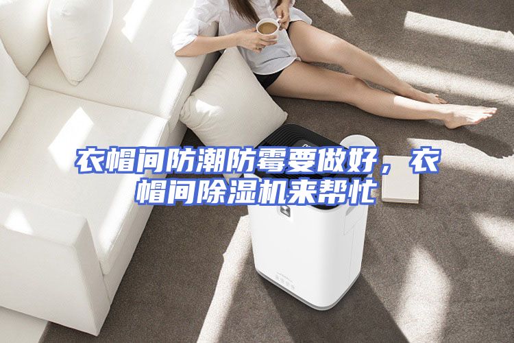 衣帽间防潮防霉要做好，衣帽间除湿机来帮忙