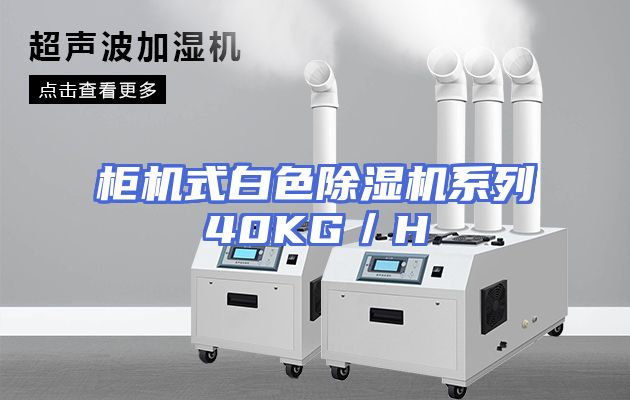 柜机式白色除湿机系列40KG／H