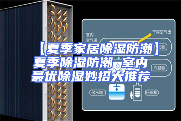【夏季家居除湿防潮】夏季除湿防潮 室内最优除湿妙招大推荐