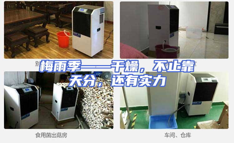 梅雨季——干燥，不止靠天分，还有实力