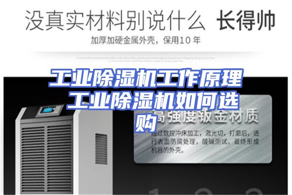 工业除湿机工作原理 工业除湿机如何选购