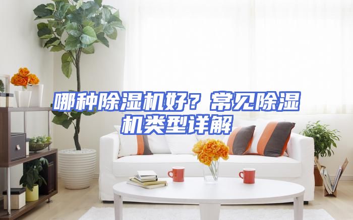 哪种除湿机好？常见除湿机类型详解