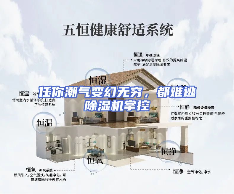 任你潮气变幻无穷，都难逃除湿机掌控