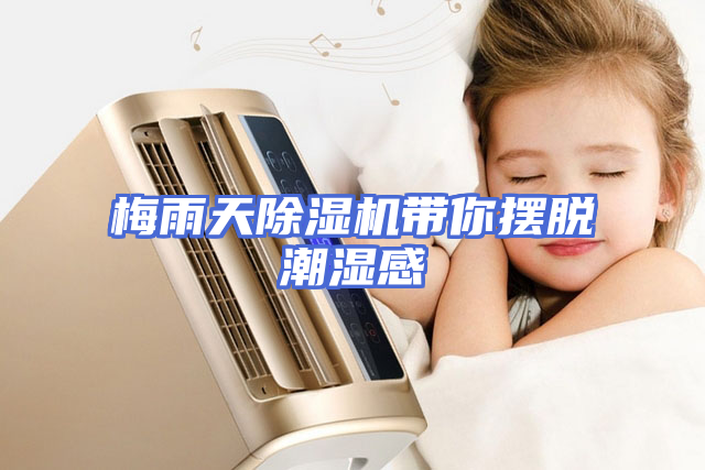 梅雨天除湿机带你摆脱潮湿感