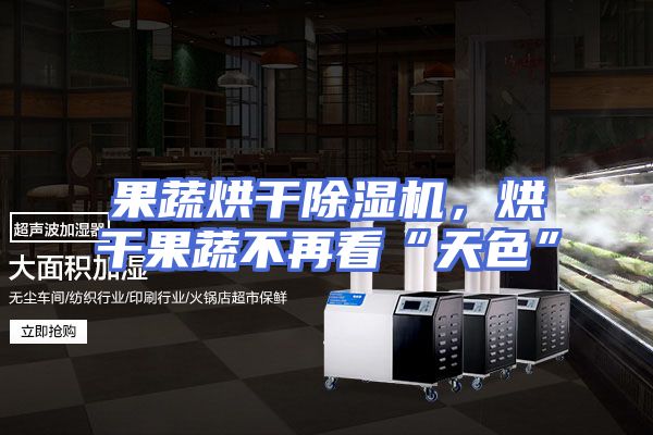 果蔬烘干除湿机，烘干果蔬不再看“天色”