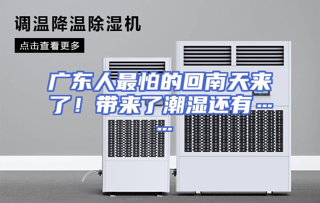广东人最怕的回南天来了！带来了潮湿还有……
