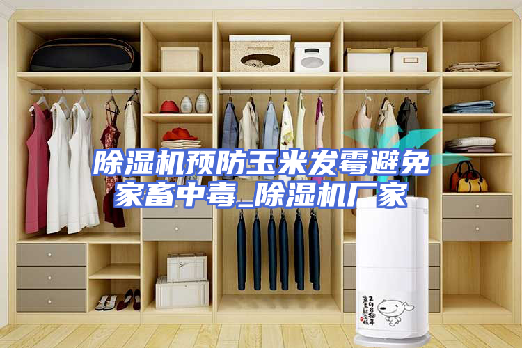 除湿机预防玉米发霉避免家畜中毒_除湿机厂家
