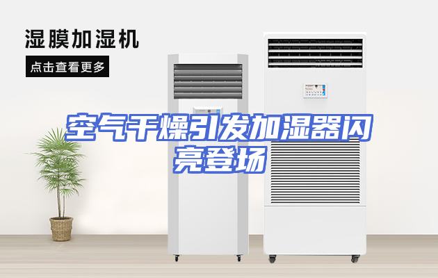 空气干燥引发加湿器闪亮登场