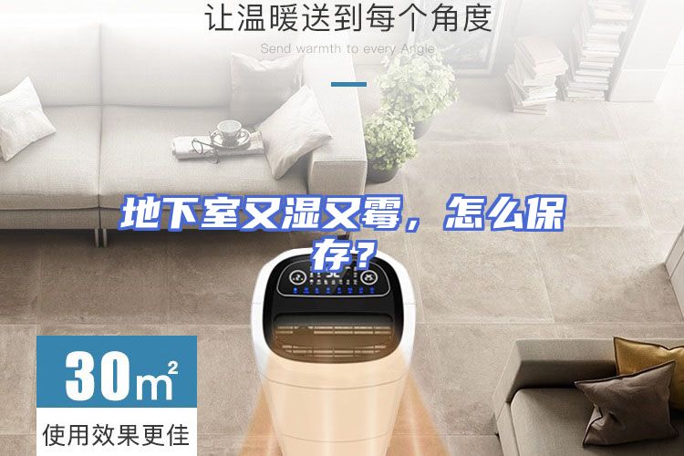 地下室又湿又霉，怎么保存？