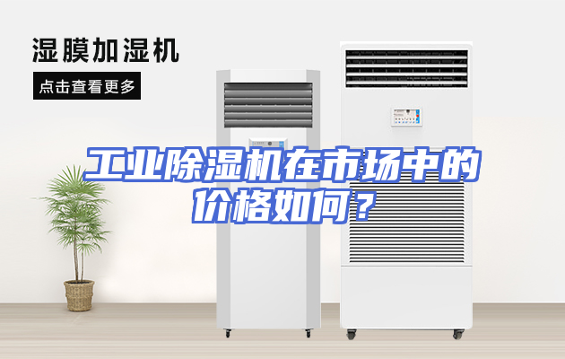 工业除湿机在市场中的价格如何？