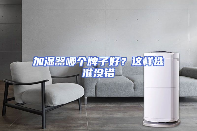 加湿器哪个牌子好？这样选准没错