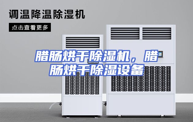 腊肠烘干除湿机，腊肠烘干除湿设备