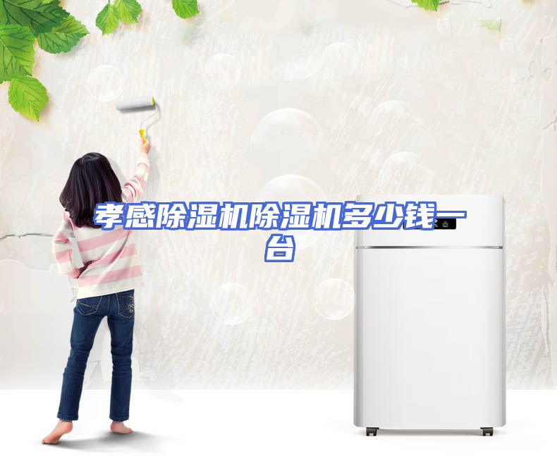 孝感除湿机除湿机多少钱一台