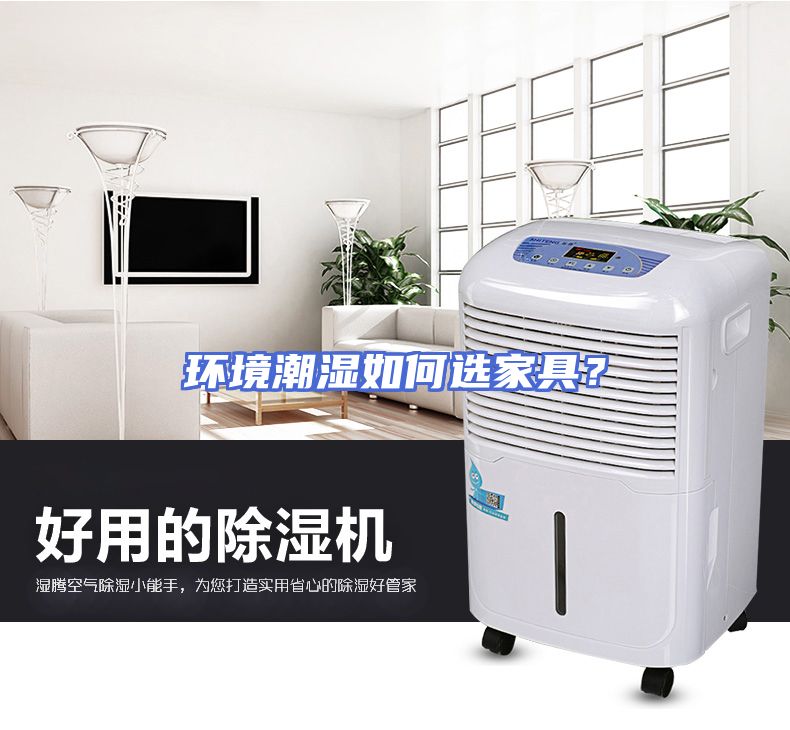 环境潮湿如何选家具？
