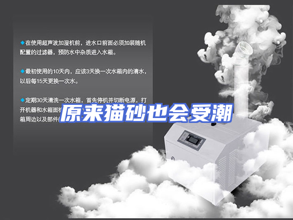 原来猫砂也会受潮