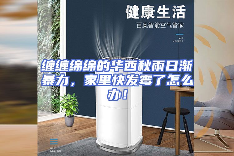 缠缠绵绵的华西秋雨日渐暴力，家里快发霉了怎么办！
