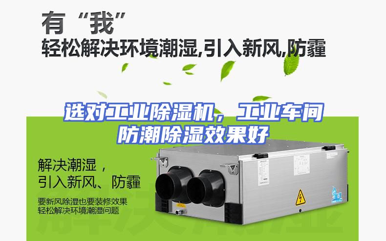 选对工业除湿机，工业车间防潮除湿效果好