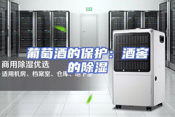 葡萄酒的保护：酒窖的除湿