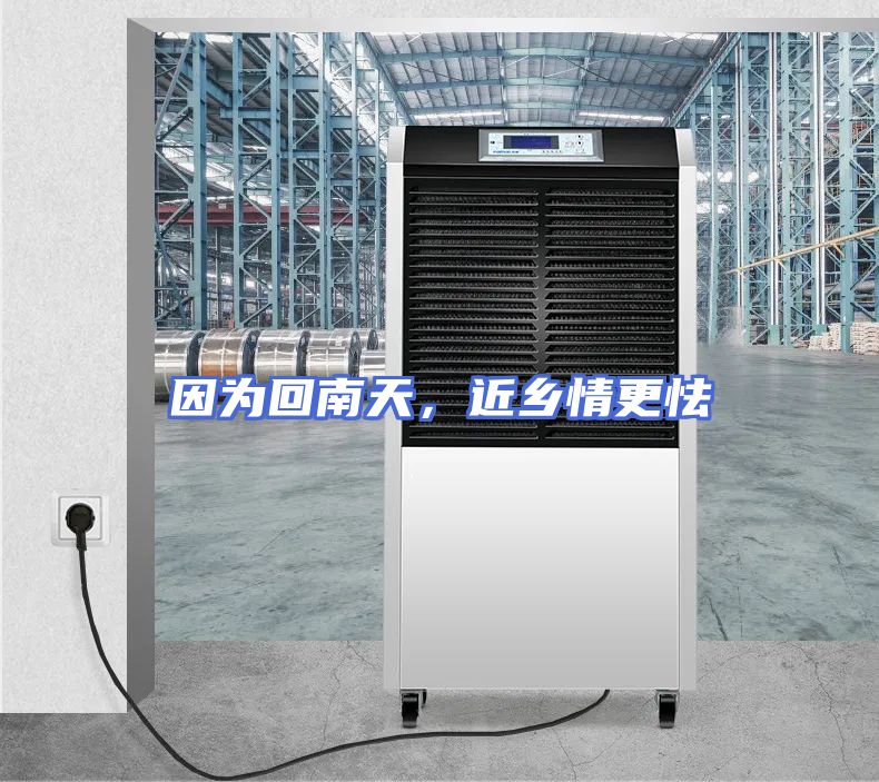 因为回南天，近乡情更怯