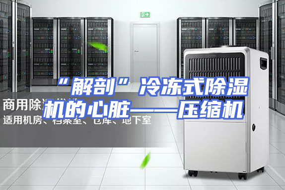 “解剖”冷冻式除湿机的心脏——压缩机