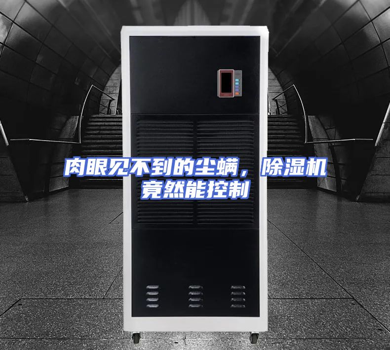 肉眼见不到的尘螨，除湿机竟然能控制