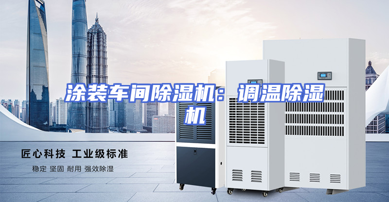 涂装车间除湿机：调温除湿机