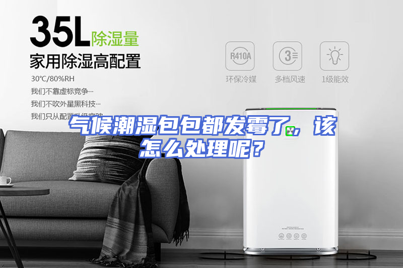 气候潮湿包包都发霉了，该怎么处理呢？