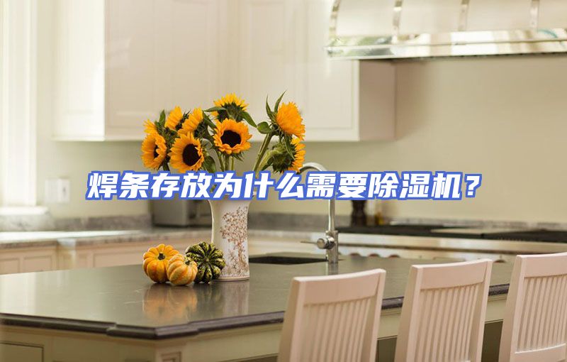 焊条存放为什么需要除湿机？