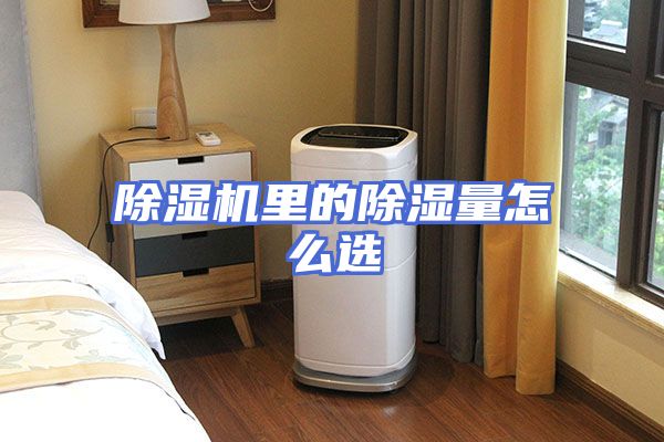 除湿机里的除湿量怎么选