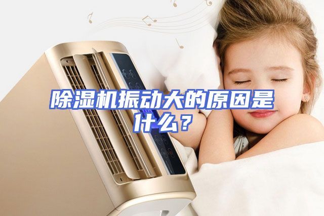 除湿机振动大的原因是什么？