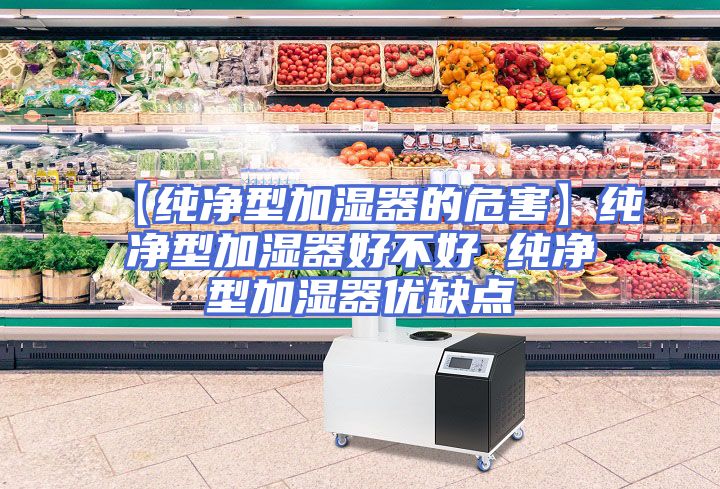 【纯净型加湿器的危害】纯净型加湿器好不好 纯净型加湿器优缺点