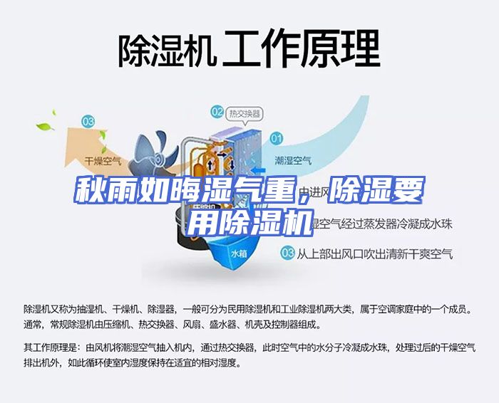 秋雨如晦湿气重，除湿要用除湿机