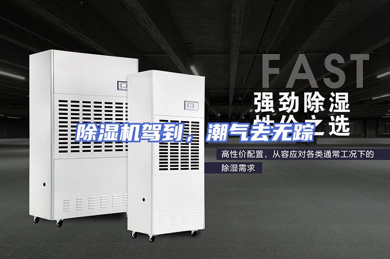 除湿机驾到，潮气去无踪