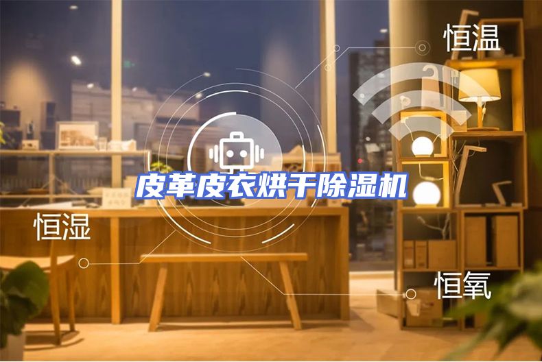 皮革皮衣烘干除湿机