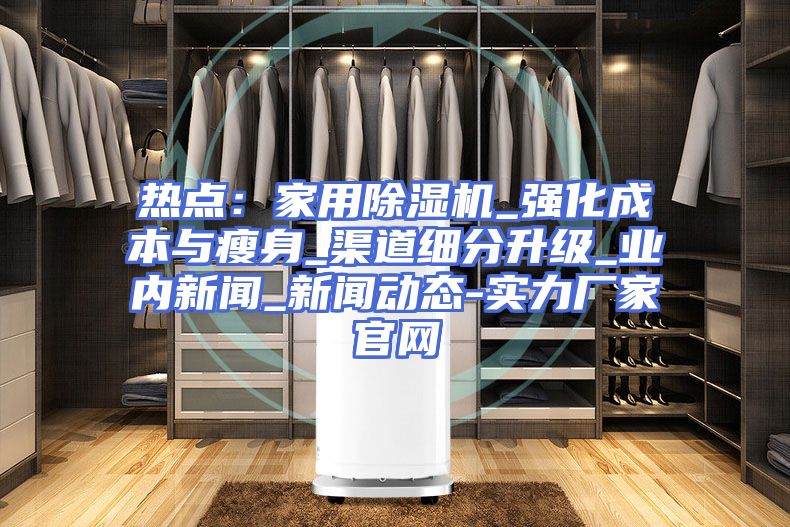 热点：家用除湿机_强化成本与瘦身_渠道细分升级_业内新闻_新闻动态-实力厂家官网