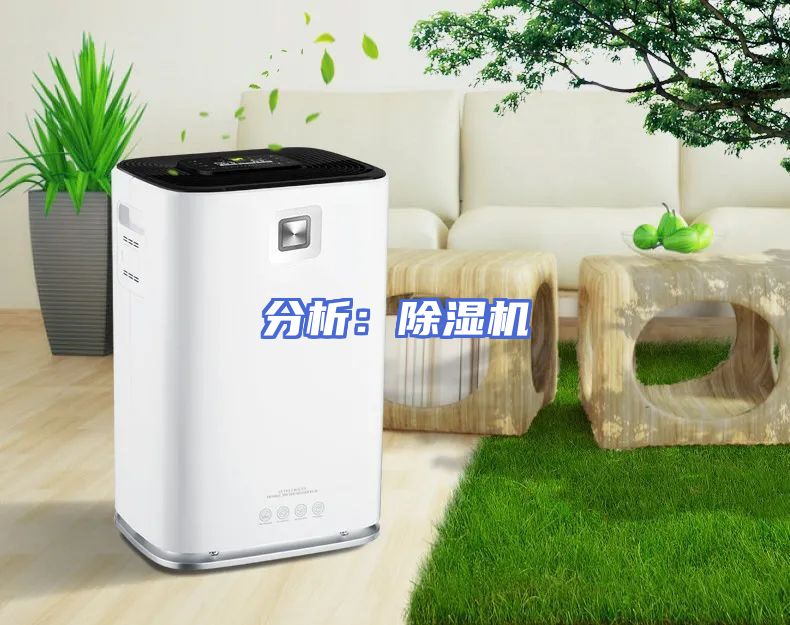 分析：除湿机