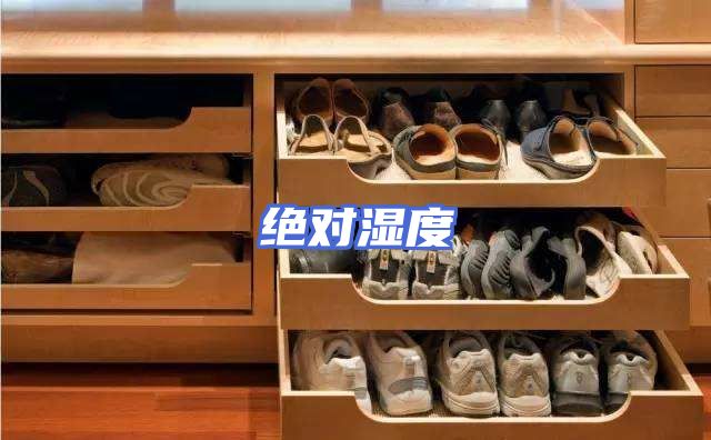 绝对湿度