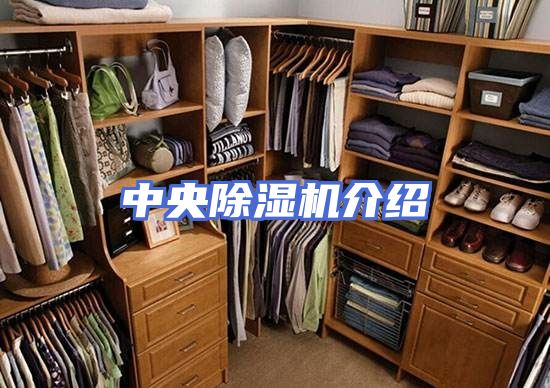 中央除湿机介绍