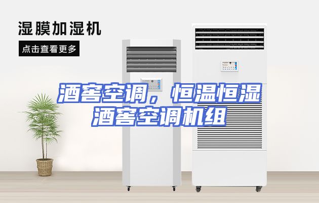 酒窖空调，恒温恒湿酒窖空调机组