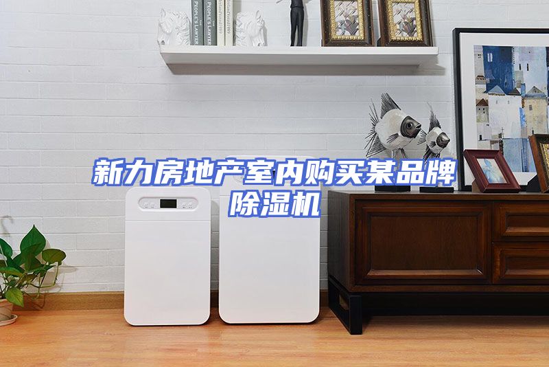 新力房地产室内购买某品牌除湿机