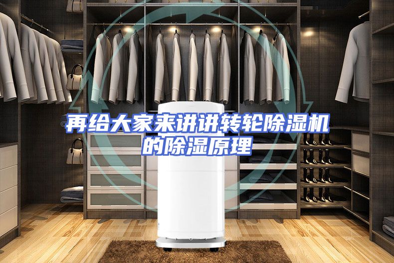 再给大家来讲讲转轮除湿机的除湿原理