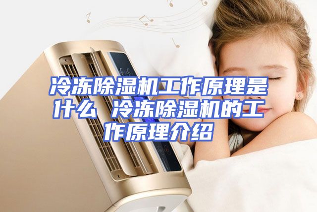 冷冻除湿机工作原理是什么 冷冻除湿机的工作原理介绍